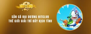 1 san ca dai duong hitclub